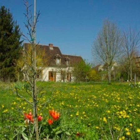 Vézannes Chambres D'Hotes Les Pierries מראה חיצוני תמונה